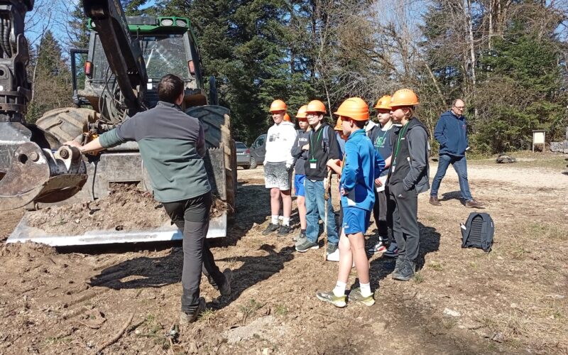 Journée découverte autour des métiers du bois